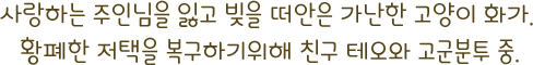 사랑하는 주인님을 잃고 빚을 떠안은 가난한 고양이 화가. 황폐한 저택을 복구하기위해 친구 테오와 고군분투 중.